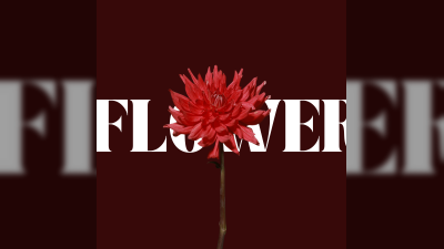 هنرمند جدید KANAKA تک‌آهنگ اول خود به نام 'Flower' را منتشر کرد