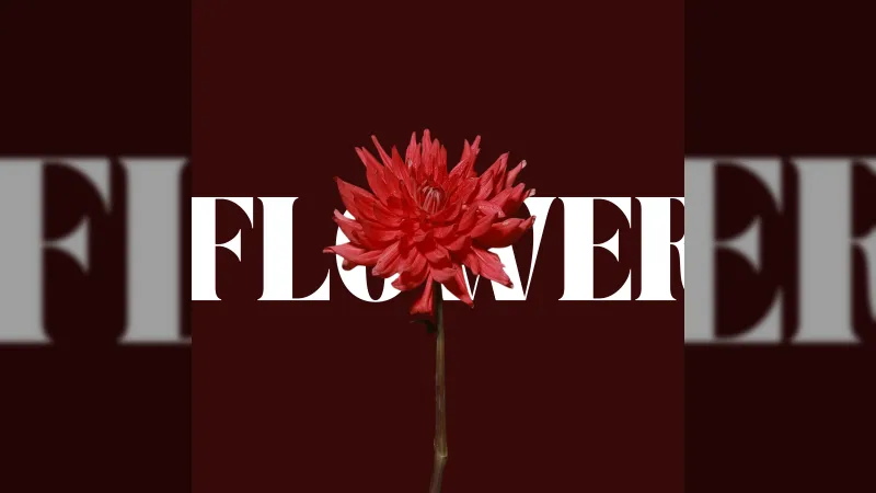 Новий артист KANAKA випускає дебютний сингл 'Flower'