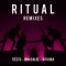 Ritual - Benny Benassi & BB Team Remix