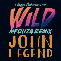 Wild - MEDUZA Remix