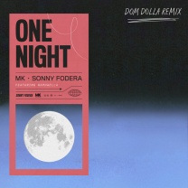 One Night (feat. Raphaella) - Dom Dolla Remix