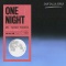 One Night (feat. Raphaella) (Dom Dolla Remix)