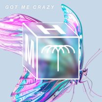 Got Me Crazy - Extended Mix