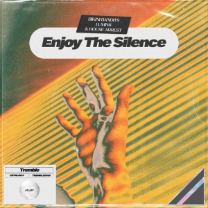 Enjoy The Silence