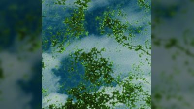 CreativeDrugStore releases '残像 16FLIP Remix'