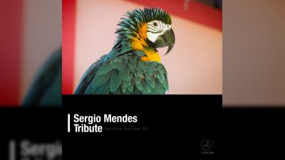 Bajune Tobeta Releases New Single Mas Que Nada