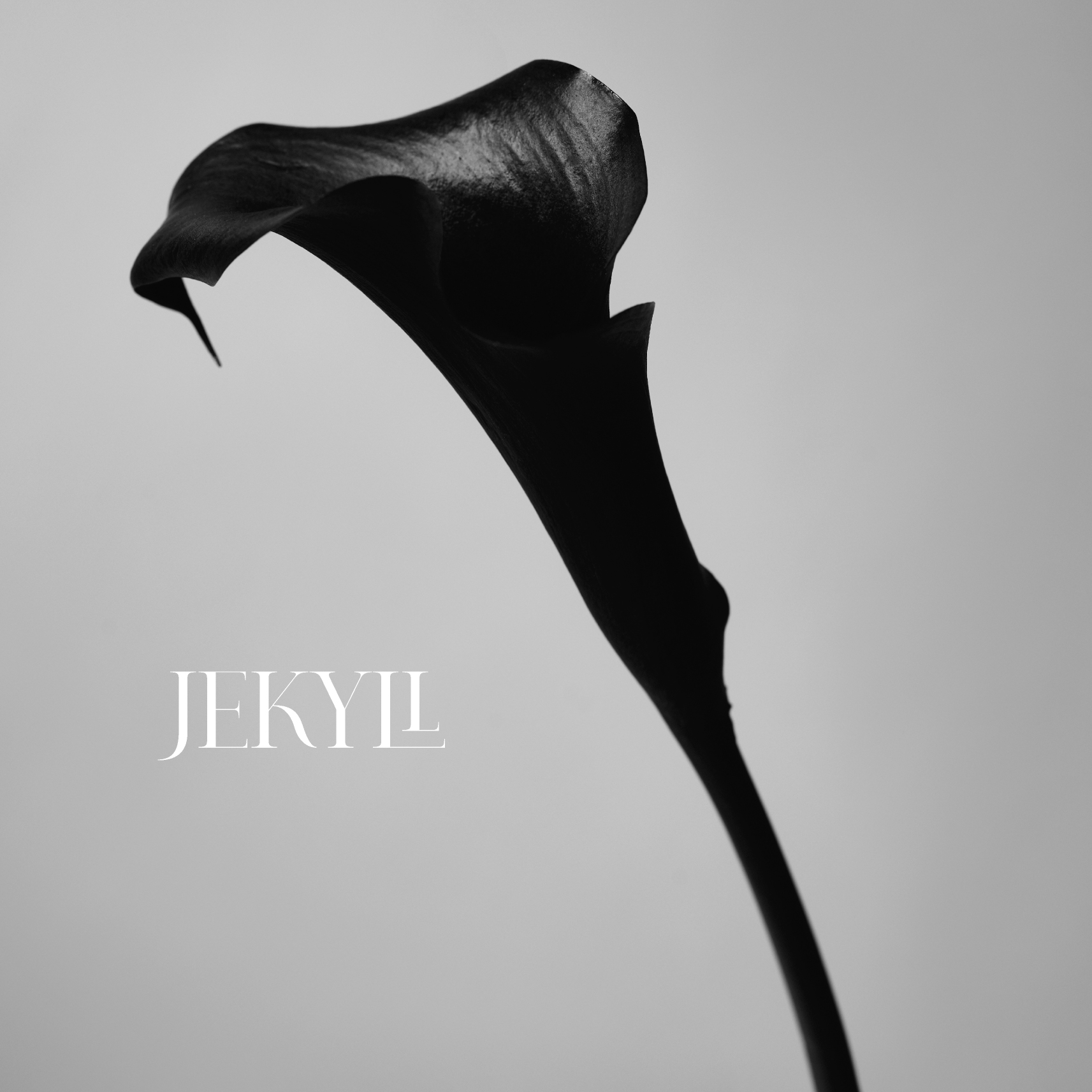 その他 Jekyll & Hyde Tour [CD] HYDE Announces New Album 'JEKYLL' With TXT, Co shu Nie