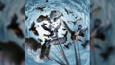 এম্পটি ওল্ড সিটি 'স্ট্রিংস ইন আউল' দ্বিতীয় অ্যালবাম ঘোষণা করেছে