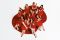 =LOVE Performs New Song Medley on National TV Following Chart Success