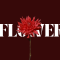 New Artist KANAKA Releases Debut Single 'Flower'
