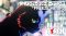 SiM's 'FREEZE ME UP' Opening for Anime 'BLACK TORCH' Released