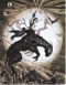 Yoshitaka Amano Announces Original Anime 'ZAN' at Anime Expo 2026