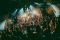 BILLY BOO Debuts 'Parallel Night' for TV Asahi Drama, Announces New Tour