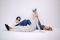 Chilli Beans. Announces New Single 'dive into you' Ahead of First Album in 3.5 Years