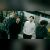 Instrumental Band Sup Announces Debut Album 'Yup'