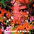 Kissing Fish Records Launches 'Asian Voices' Series with 'ANEMOIA'