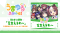 Uma Musume Short Anime 'Umayuru Full Gate' Theme Song 'Shiba Haeru wa~' Now Streaming