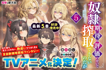 Light Novel 'I Can't Exploit Them Because My Slaves Expect Too Much' Gets TV Anime