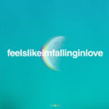 feelslikeimfallinginlove (Single Version)