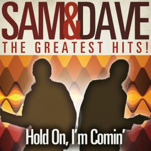 Sam & Dave The Greatest Hits! Hold On, I'm Comin'