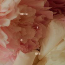 Something In The Heavens