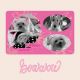bow wow