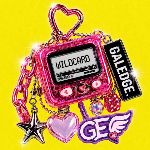 WILDCARD – GALEDGE.