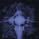 Starlight (Skrillex & ring noord Remix)