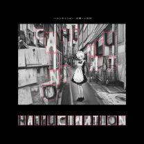 HALLUCINATION