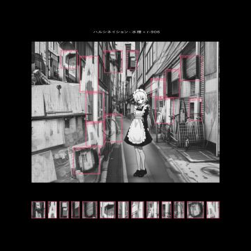 HALLUCINATION
