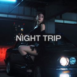 Night Trip