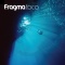 Toca's Miracle - Radio Edit