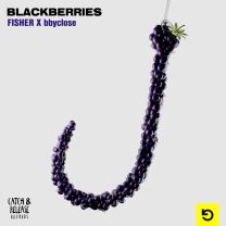 Blackberries
