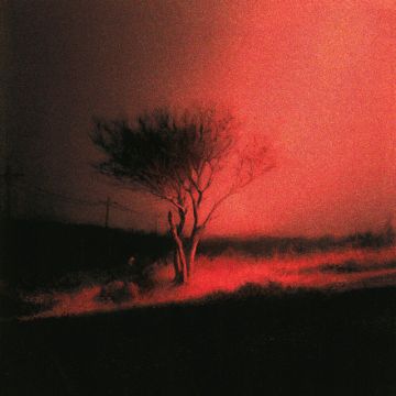 Hotel California