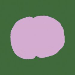 Mizu
