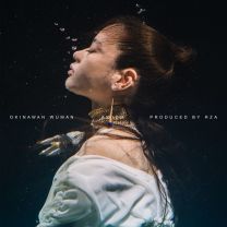 Fear Us (feat. Joey Bada$$)