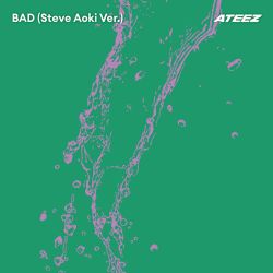 BAD (Steve Aoki Ver.)