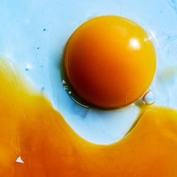 World End Girl Friend