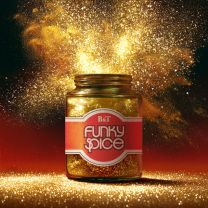 ソングライター