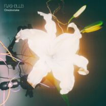 FLASHBULB