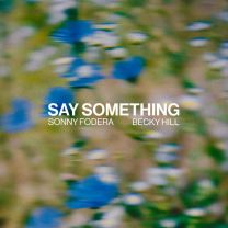 Say Something