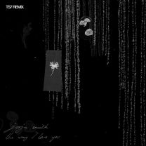 The Way I Love You - TS7 Remix