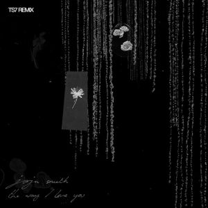 The Way I Love You - TS7 Remix