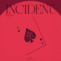 INCIDENT