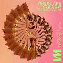 Where Are You Now (Remix Pack)