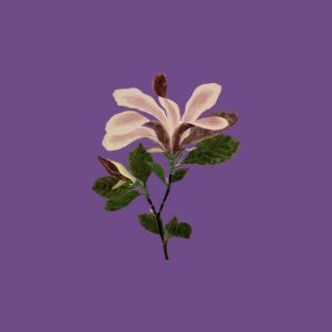 I Want You to Tell Me the Moon is Beautiful!