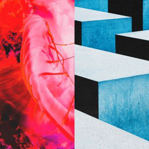 かすかなはな - Kasuka na Hana- (OP Theme to Hell's Paradise: Jigokuraku Season 2)