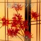 泡沫アソビ