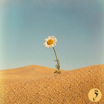 Some Kind Of High