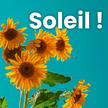 Soleil !